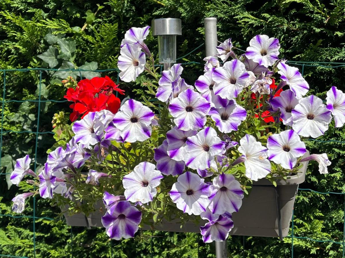 Apartmán Les Floralies Froberville Exteriér fotografie
